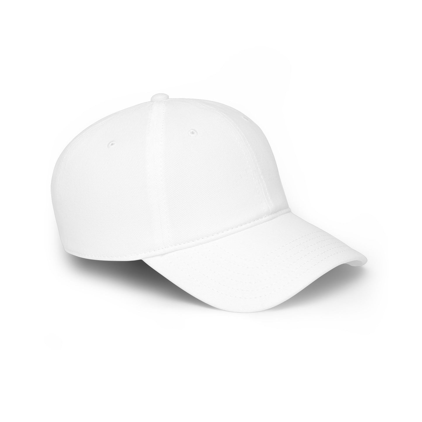 (Members) Low Profile Baseball Cap — "Our Issues. Our Lives. Our World." Women’s Social Network Hat (Members)